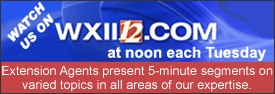 Watch us on WXII 12