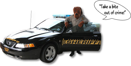 Sheriff's Car and McGruff