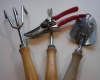 Community Garden Mentor Training Class Begins Feb. 15th 