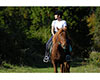 Guided Trail Rides at Tanglewood Park