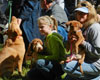 Sold Out – Dog-Gone Good-Time Party