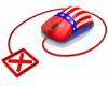 2012 Second Primary UOCAVA Election Notice