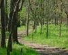 Family Fun Day on the Salem Creek Greenway