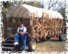 Festival of Lights Hayrides