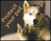 Low-Cost Rabies Vaccination Clinic this Saturday