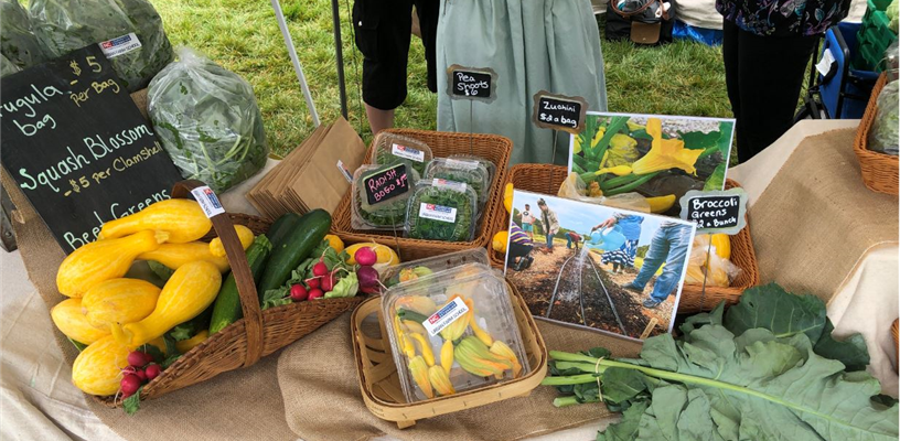 Donation Station Program to Premier at the Winston-Salem Fairgrounds Farmers Market